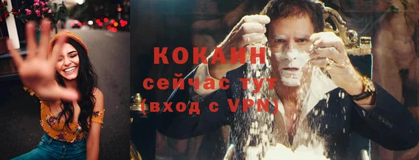 шишки Верхний Тагил