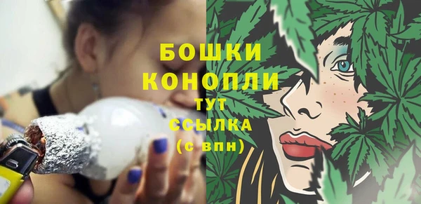 крисы Верея