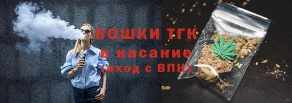 шишки Верхний Тагил