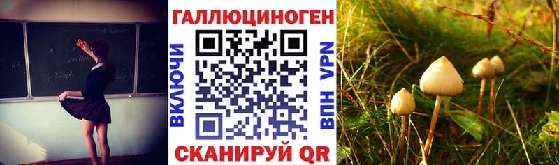 Псилоцибиновые грибы GOLDEN TEACHER  Купить  Мышкин 