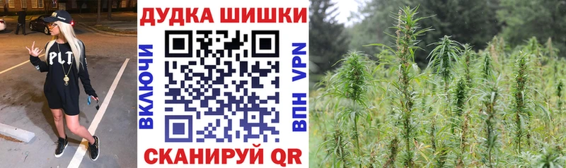 Купить Мышкин Бошки Шишки планчик